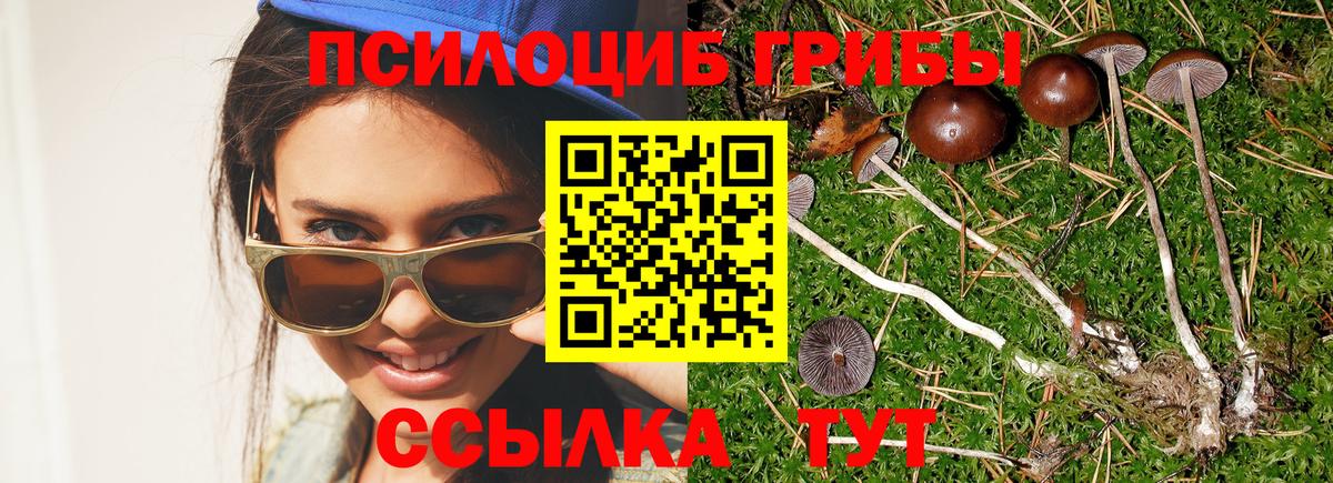 Красноярск  Псилоцибиновые грибы GOLDEN TEACHER  Вход с VPN 